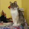 Отзыв от Фаина Самойлова